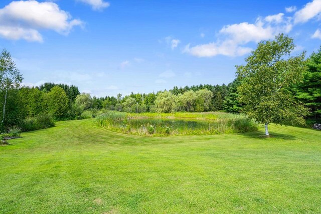 view of yard with a view of trees and a water view