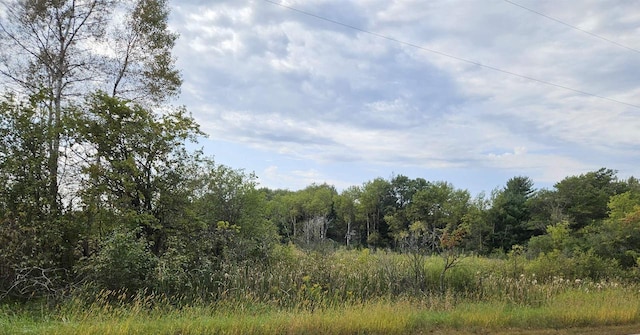 Listing photo 2 for Rulau Rd, Iola WI 54945