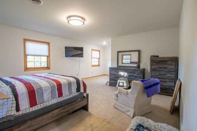 bedroom with carpet floors