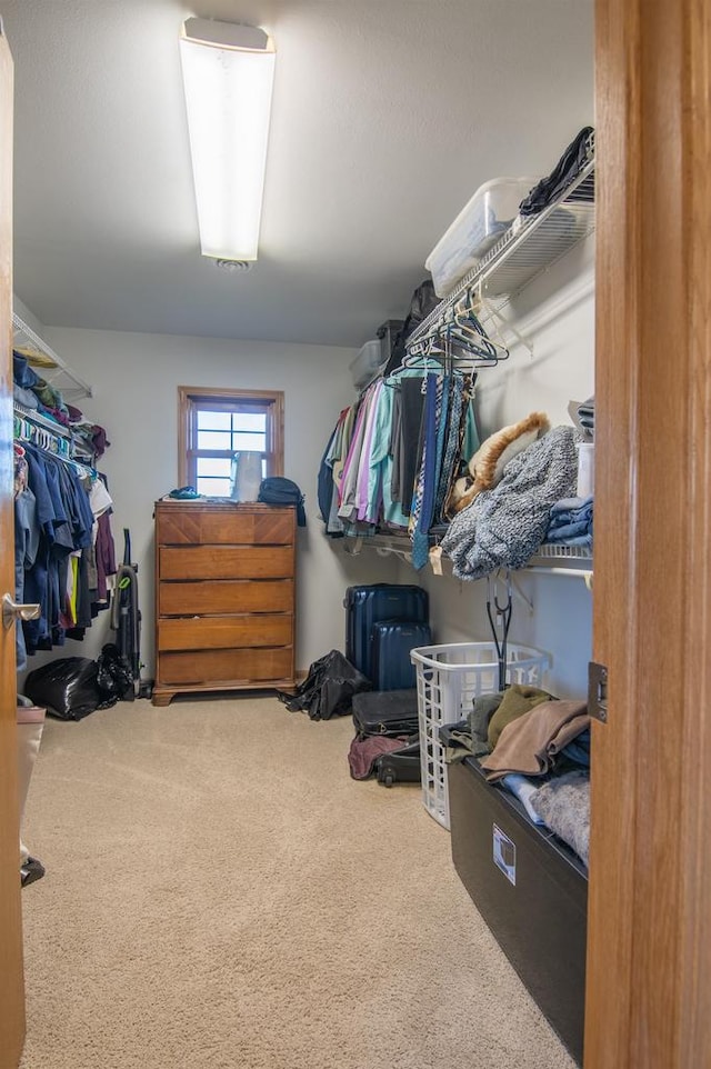 walk in closet featuring carpet floors