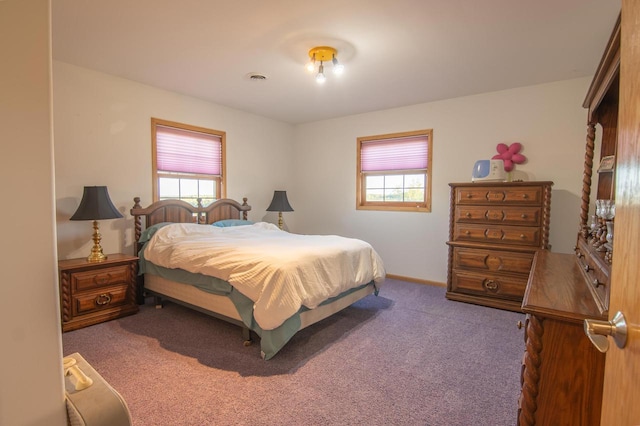 bedroom featuring multiple windows and carpet floors