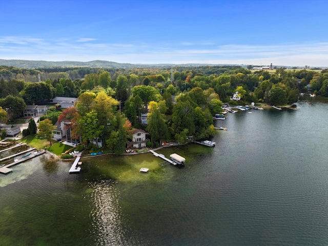 drone / aerial view featuring a forest view and a water view