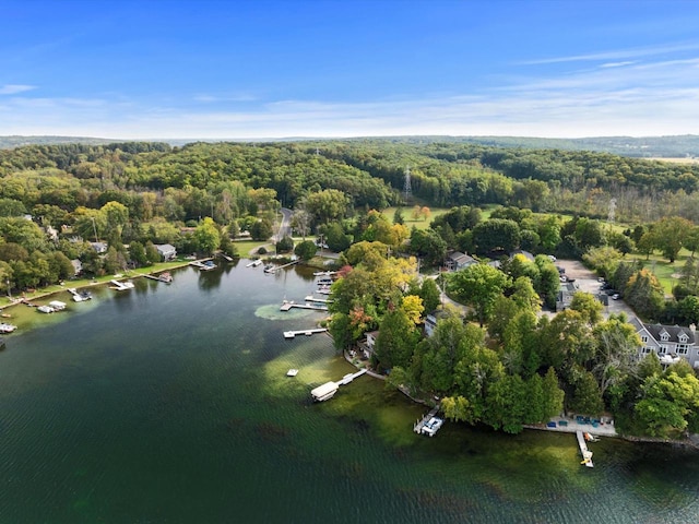 birds eye view of property with a view of trees and a water view