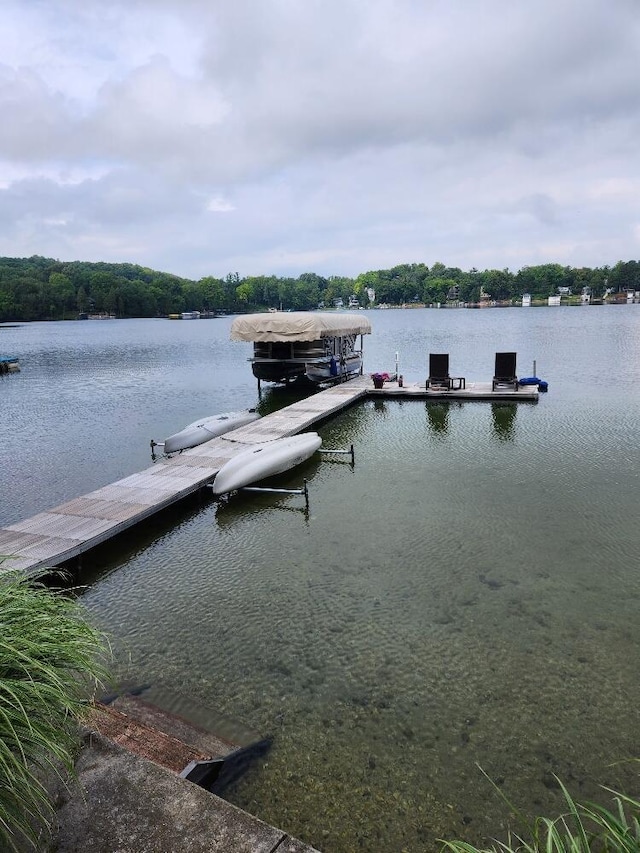 dock area with a water view