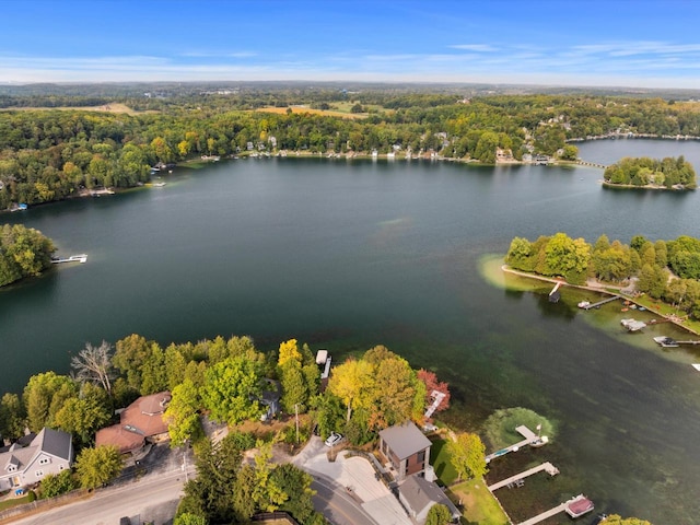 aerial view with a view of trees and a water view