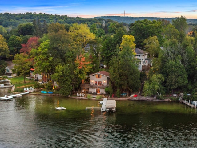 bird's eye view featuring a forest view and a water view