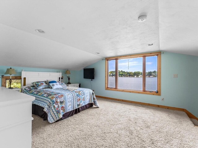 W6538 County Road C, Plymouth, WI 53073 - carpeted bedroom featuring baseboards and lofted ceiling