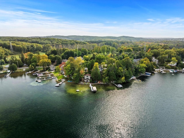 aerial view with a view of trees and a water view