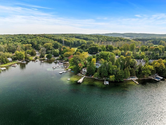 drone / aerial view featuring a water view and a wooded view