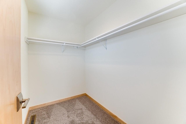 walk in closet featuring carpet flooring