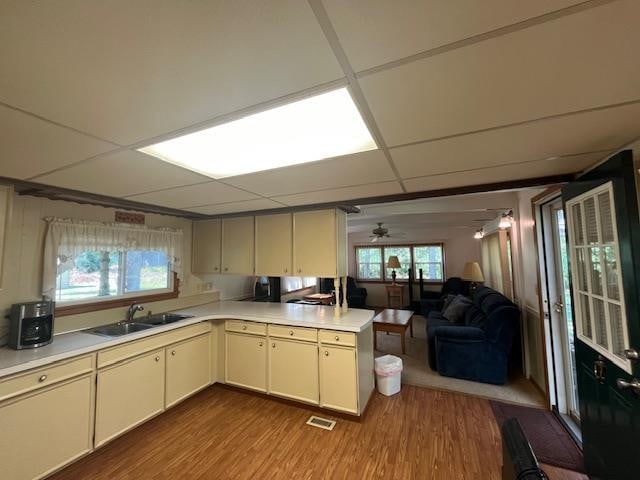 kitchen featuring kitchen peninsula, sink, ceiling fan, and light hardwood / wood-style floors