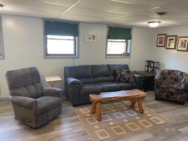 living room featuring a healthy amount of sunlight, hardwood / wood-style floors, and a drop ceiling