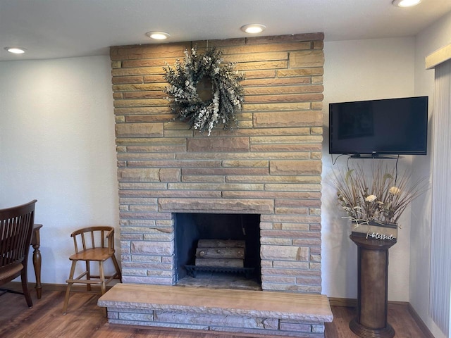 details featuring a stone fireplace and wood-type flooring