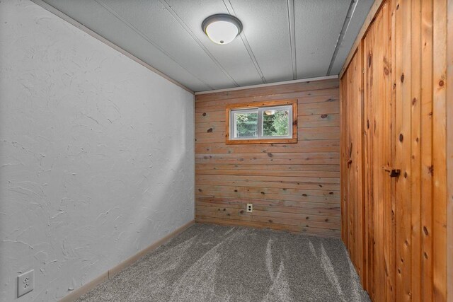 N1802 Shambeau, Waupaca, WI 54981 - empty room with wooden walls, a textured ceiling, a textured wall, and carpet floors