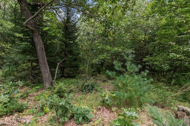 N1802 Shambeau, Waupaca, WI 54981 - view of landscape with a view of trees