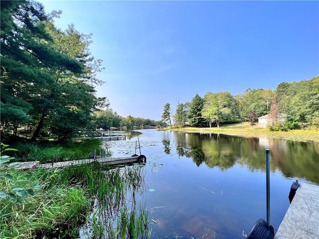 property view of water featuring a boat dock