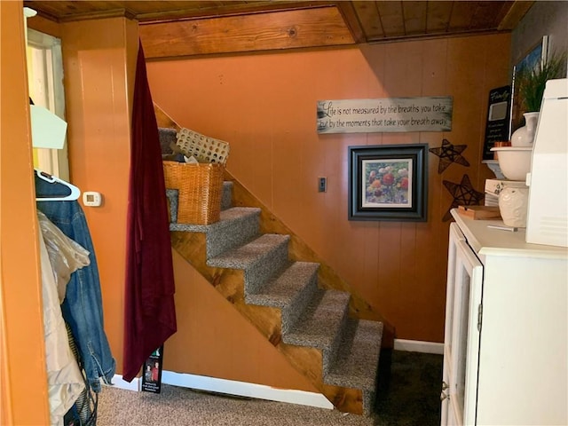 stairs featuring wooden walls and carpet