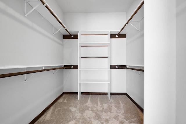 spacious closet featuring light colored carpet