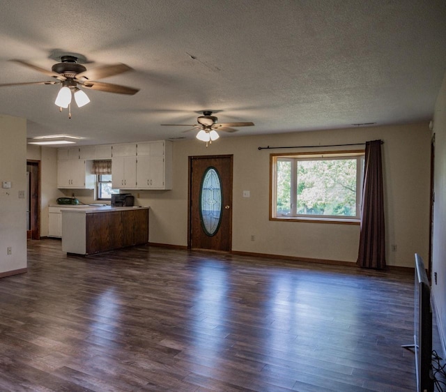 interior space featuring ceiling fan, plenty of natural light, and dark hardwood / wood-style floors