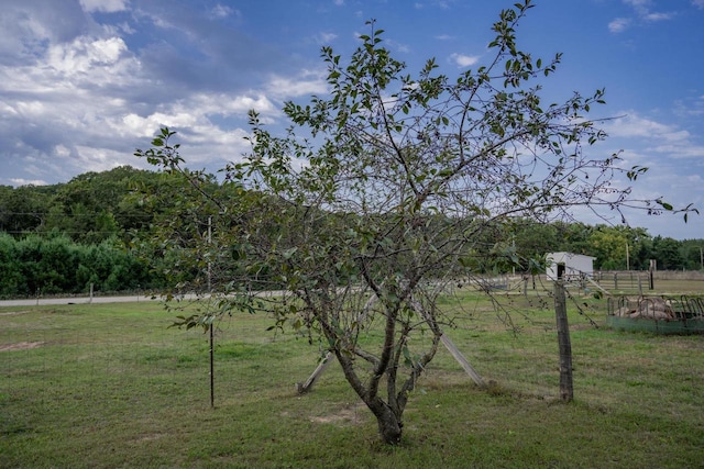 view of yard with a rural view