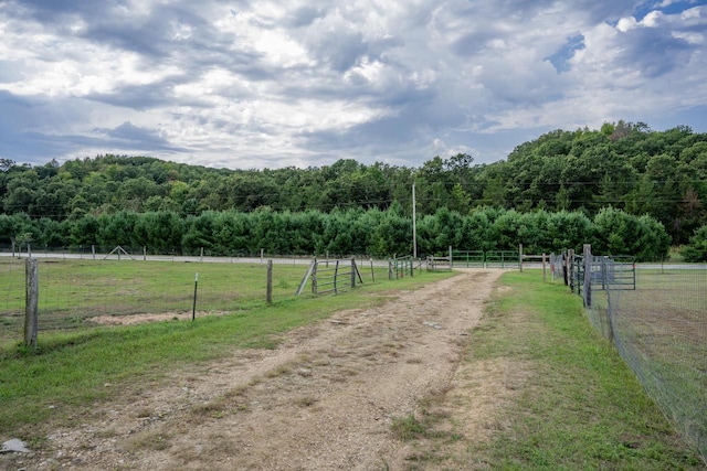 view of road with a rural view