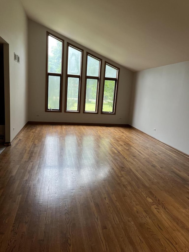 interior space with dark hardwood / wood-style flooring, a healthy amount of sunlight, and vaulted ceiling