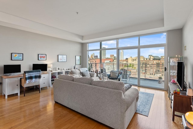 living room with light hardwood / wood-style flooring