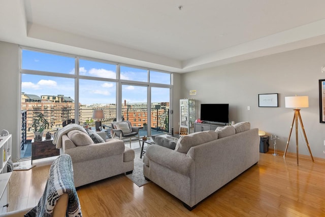 living area featuring light wood finished floors, a city view, a raised ceiling, and baseboards