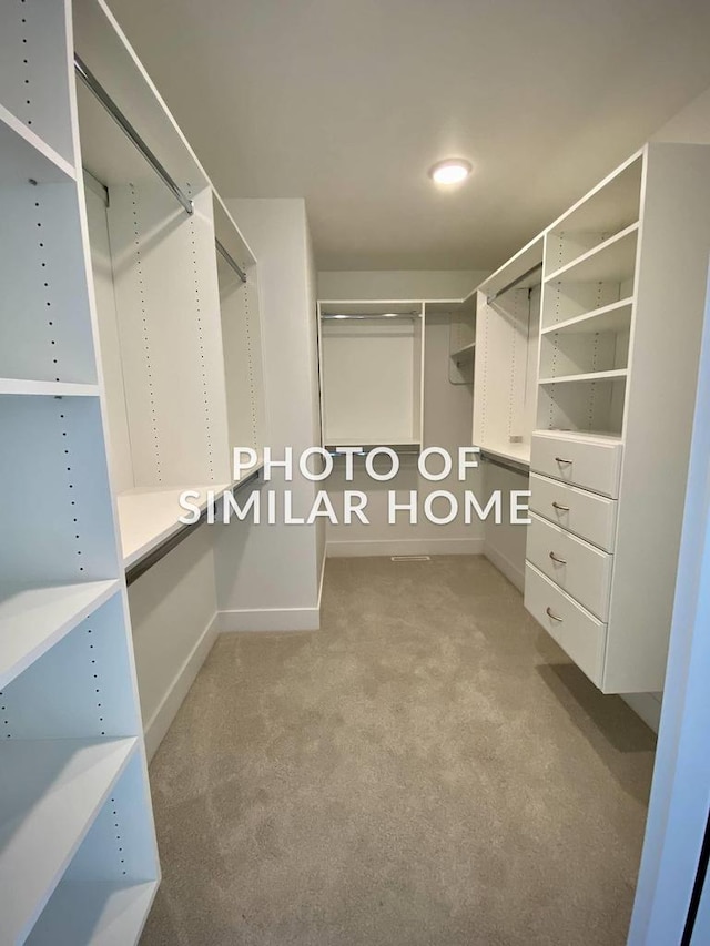 spacious closet with light carpet