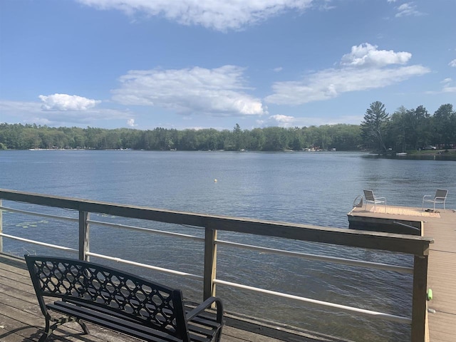 dock area with a water view