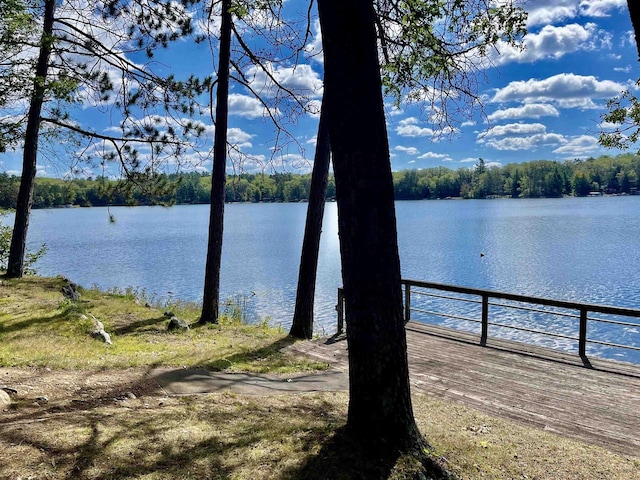 view of water feature