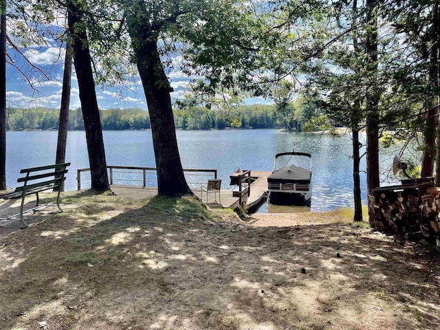 dock area with a water view