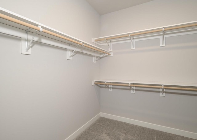 walk in closet featuring carpet flooring