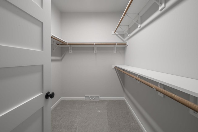 walk in closet featuring carpet floors