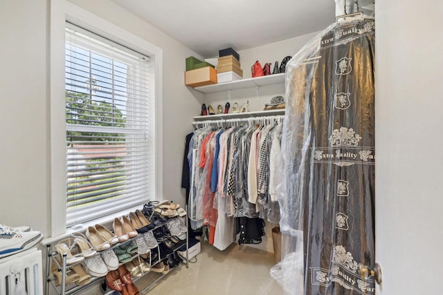 spacious closet with carpet floors