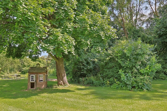 view of yard featuring an outdoor structure