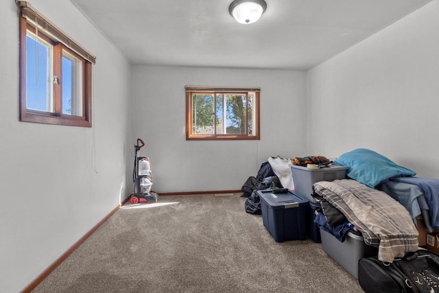 miscellaneous room featuring carpet floors