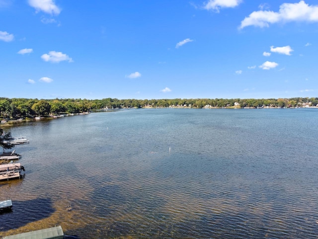 property view of water