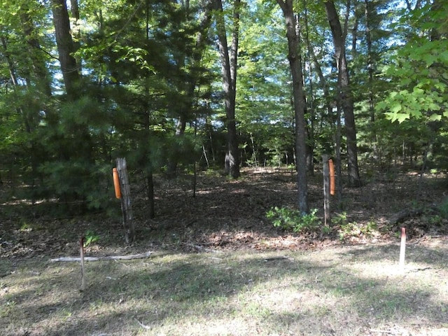 Loon Lake Cir, Shawano WI, 54166 land for sale