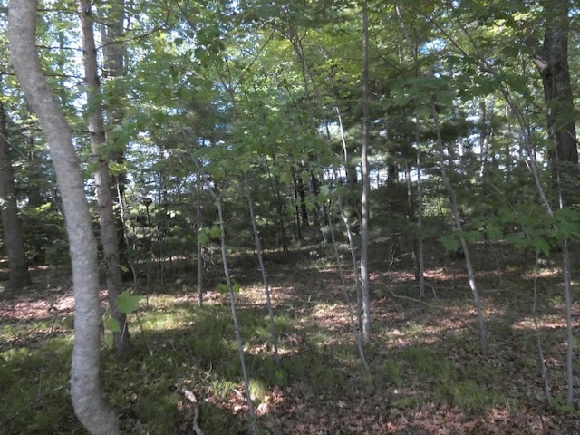 Listing photo 2 for Loon Lake Cir, Shawano WI 54166