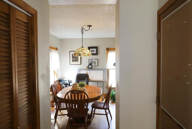 living room featuring a textured ceiling, ceiling fan, and light hardwood / wood-style flooring