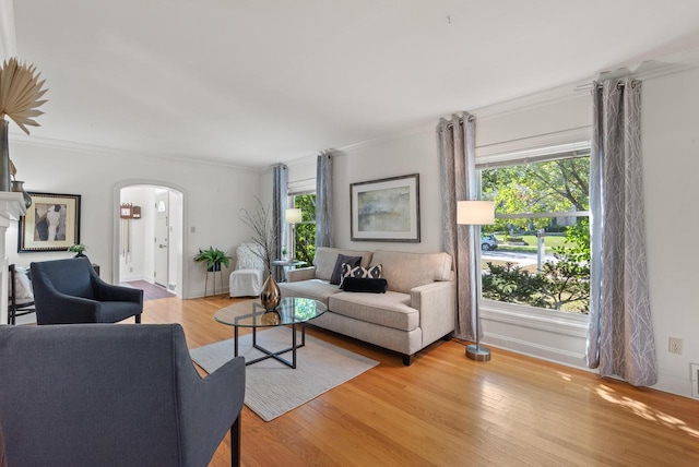 living room with crown molding and light hardwood / wood-style floors