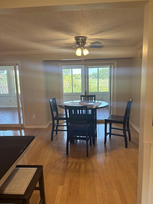 dining room featuring wood-type flooring, a textured ceiling, ceiling fan, and crown molding