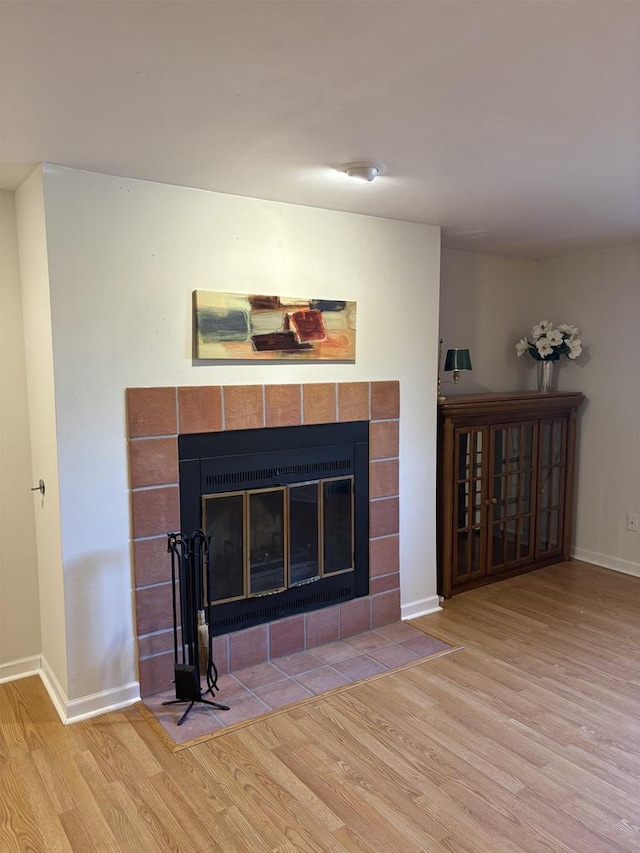 details featuring wood-type flooring and a fireplace