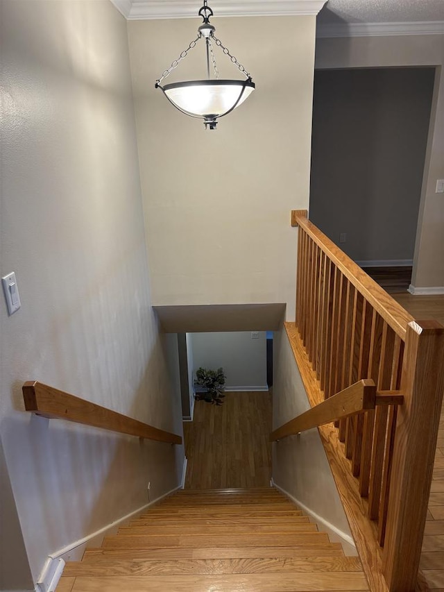 stairs with hardwood / wood-style floors and ornamental molding