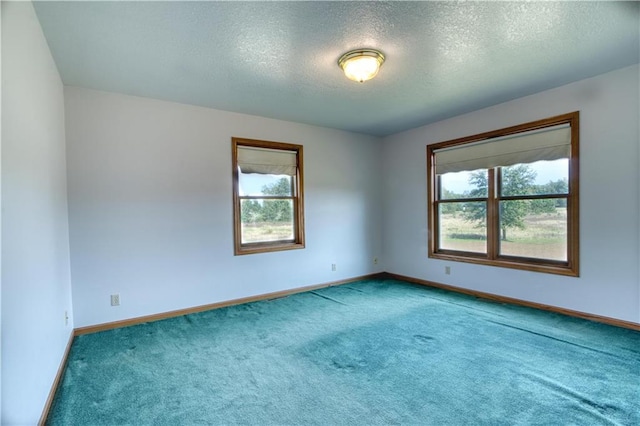 spare room featuring a textured ceiling and carpet flooring