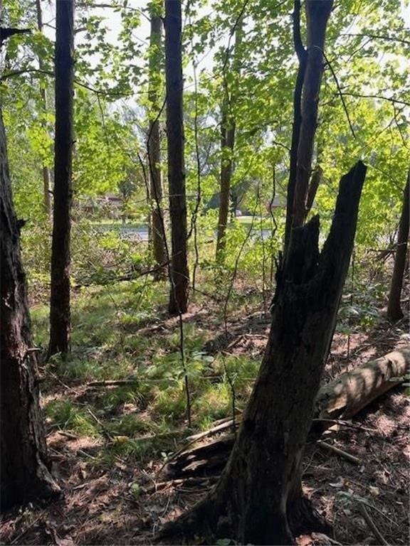 16 County Road B, Woodville WI, 54028 land for sale