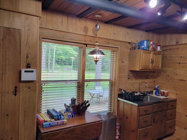 kitchen with wood walls, pendant lighting, and a healthy amount of sunlight