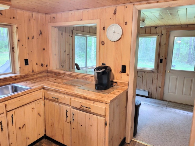 kitchen featuring wood ceiling, a healthy amount of sunlight, and wooden walls