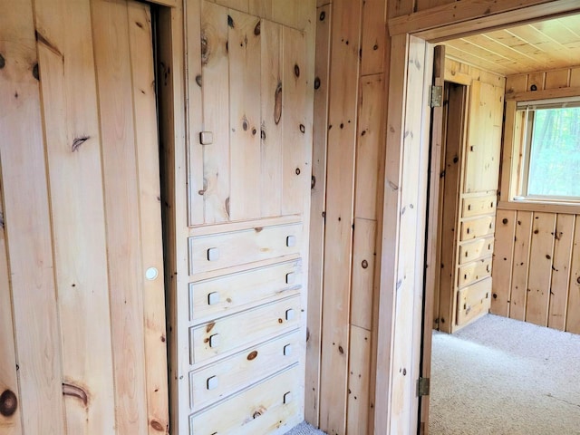 corridor featuring carpet and wood walls